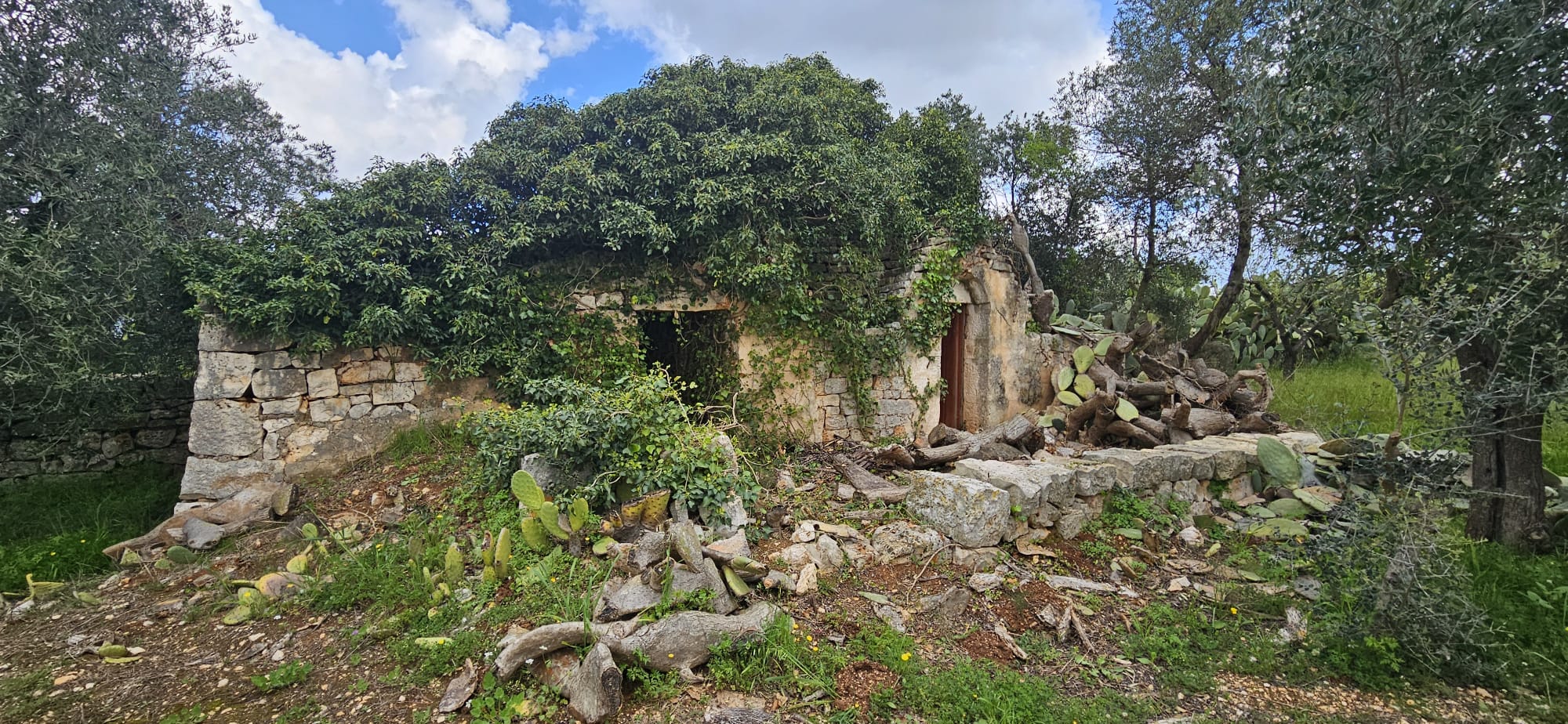 Terreno di 33.700 mq ca. con Fabbricato Rurale